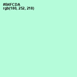 #B4FCDA - Cruise Color Image