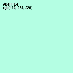 #B4FFE4 - Ice Cold Color Image