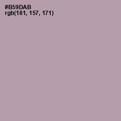 #B59DAB - Amethyst Smoke Color Image