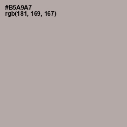 #B5A9A7 - Nomad Color Image