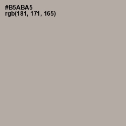 #B5ABA5 - Nomad Color Image