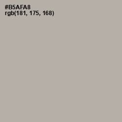 #B5AFA8 - Nomad Color Image