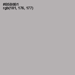 #B5B0B1 - Nobel Color Image