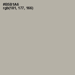 #B5B1A6 - Nomad Color Image