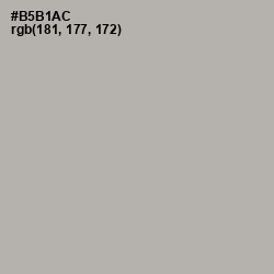 #B5B1AC - Silk Color Image