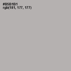 #B5B1B1 - Nobel Color Image