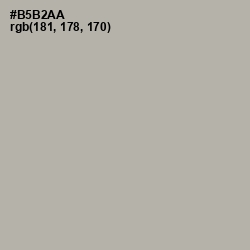 #B5B2AA - Silk Color Image
