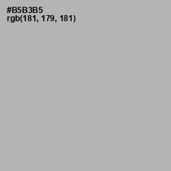 #B5B3B5 - Nobel Color Image