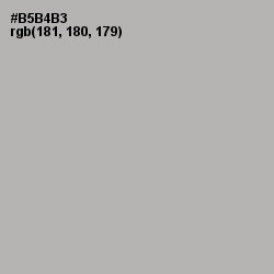 #B5B4B3 - Nobel Color Image