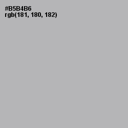 #B5B4B6 - Nobel Color Image