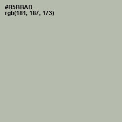 #B5BBAD - Eagle Color Image