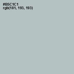 #B5C1C1 - Silver Sand Color Image