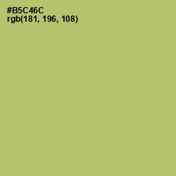 #B5C46C - Wild Willow Color Image