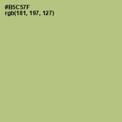 #B5C57F - Wild Willow Color Image
