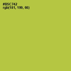 #B5C742 - Conifer Color Image