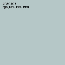 #B5C7C7 - Submarine Color Image