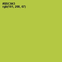 #B5C843 - Conifer Color Image