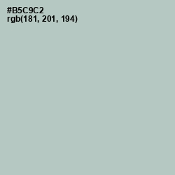 #B5C9C2 - Powder Ash Color Image