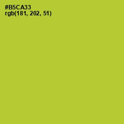 #B5CA33 - Key Lime Pie Color Image