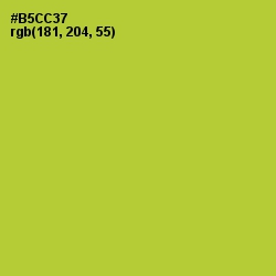 #B5CC37 - Key Lime Pie Color Image