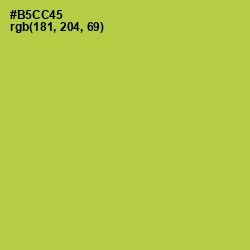 #B5CC45 - Conifer Color Image