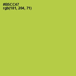 #B5CC47 - Conifer Color Image