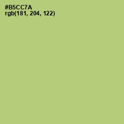 #B5CC7A - Wild Willow Color Image
