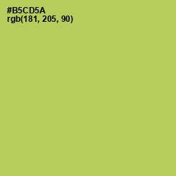 #B5CD5A - Celery Color Image