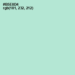 #B5E8D4 - Cruise Color Image