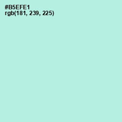 #B5EFE1 - Powder Blue Color Image