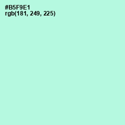 #B5F9E1 - Ice Cold Color Image