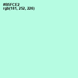 #B5FCE2 - Ice Cold Color Image
