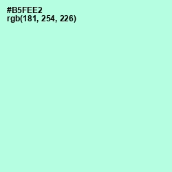 #B5FEE2 - Ice Cold Color Image