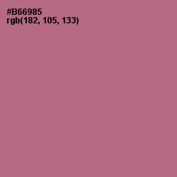 #B66985 - Turkish Rose Color Image
