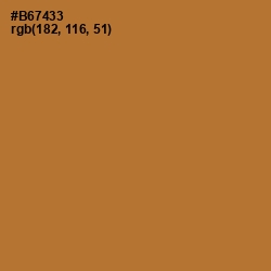#B67433 - Copper Color Image