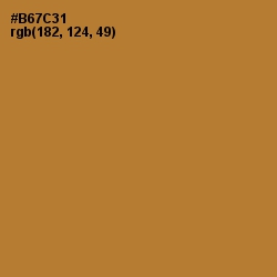 #B67C31 - Copper Color Image