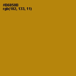 #B6850B - Hot Toddy Color Image