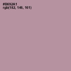 #B692A1 - Amethyst Smoke Color Image