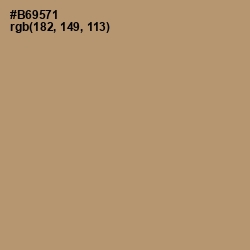#B69571 - Sandal Color Image