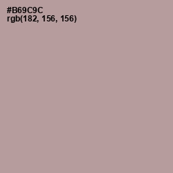 #B69C9C - Thatch Color Image