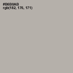 #B6B0AB - Silk Color Image