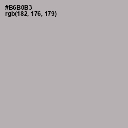 #B6B0B3 - Nobel Color Image