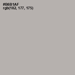 #B6B1AF - Silk Color Image