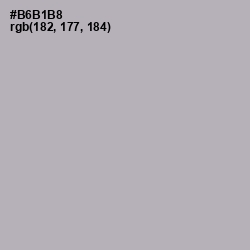 #B6B1B8 - Nobel Color Image