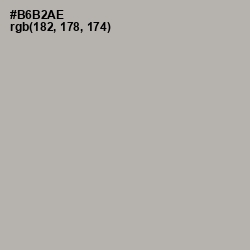 #B6B2AE - Silk Color Image