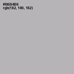 #B6B4B6 - Nobel Color Image