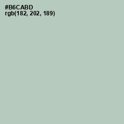 #B6CABD - Clay Ash Color Image