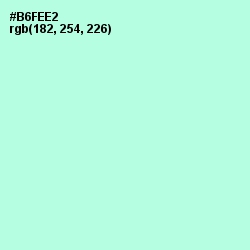 #B6FEE2 - Ice Cold Color Image