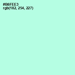 #B6FEE3 - Ice Cold Color Image