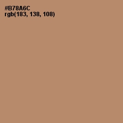 #B78A6C - Sandal Color Image